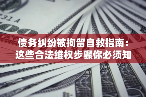 武汉债务纠纷被拘留自救指南：这些合法维权步骤你必须知道！