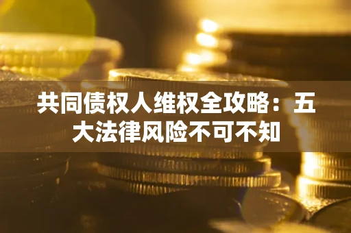 武汉共同债权人维权全攻略：五大法律风险不可不知