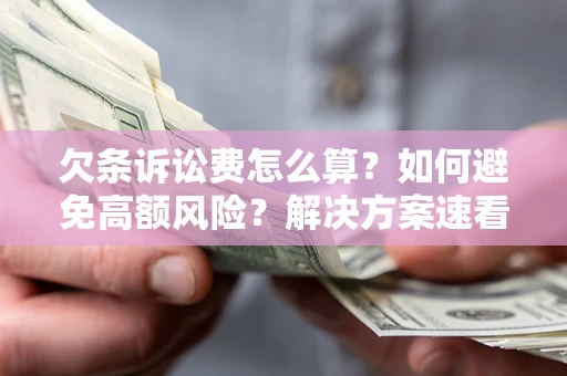 武汉欠条诉讼费怎么算？如何避免高额风险？解决方案速看！