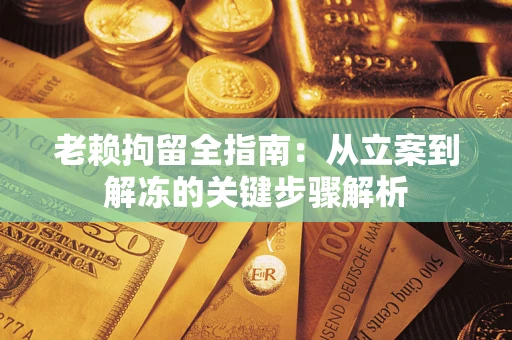 武汉老赖拘留全指南：从立案到解冻的关键步骤解析
