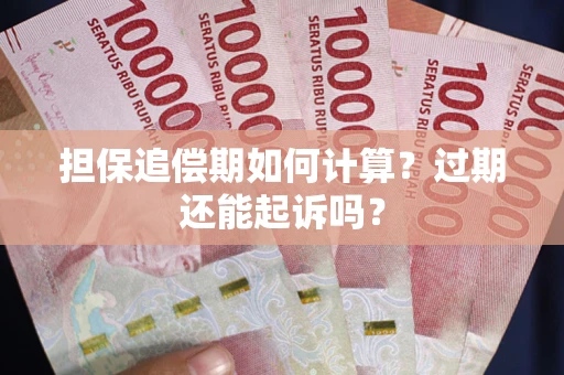武汉担保追偿期如何计算？过期还能起诉吗？