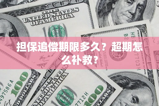 武汉担保追偿期限多久？超期怎么补救？
