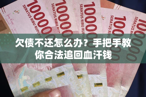 武汉欠债不还怎么办?手把手教你合法追回血汗钱 武汉欠债不还怎么办?手把手教你合法追回血汗钱